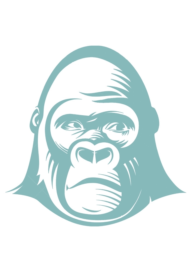 Roto / Lyons Zaremba