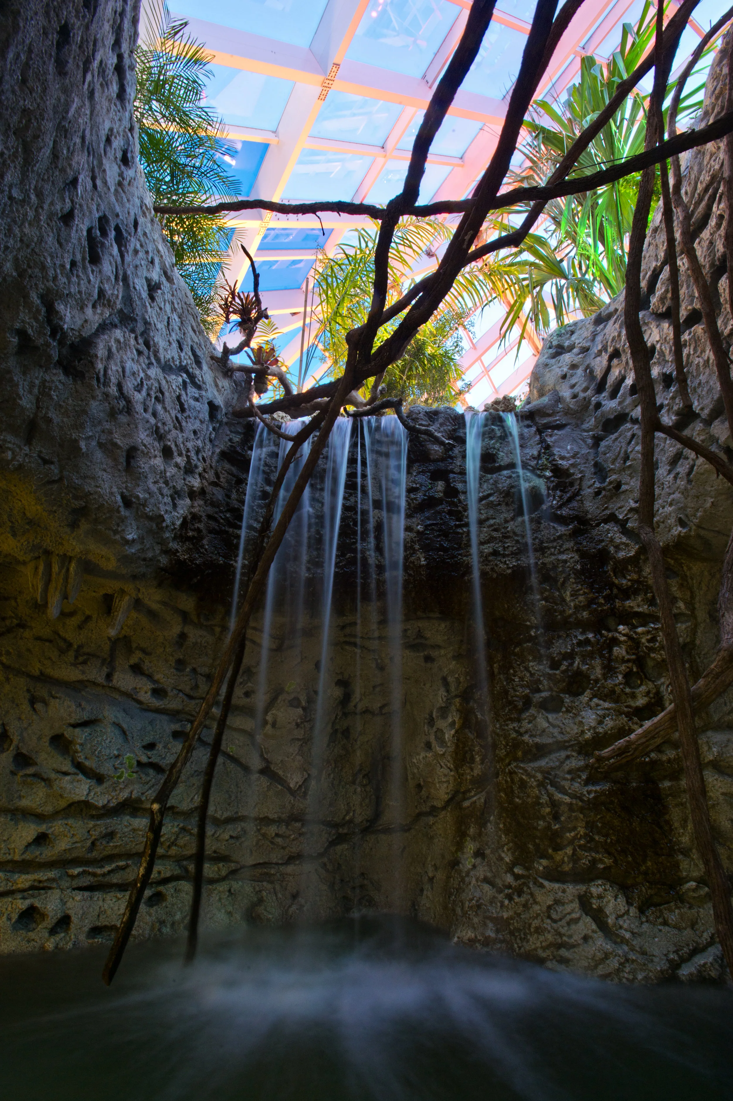 TSA Caribbean — Roto / Lyons Zaremba