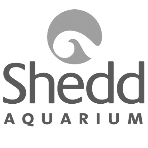 Shedd Aquarium.png