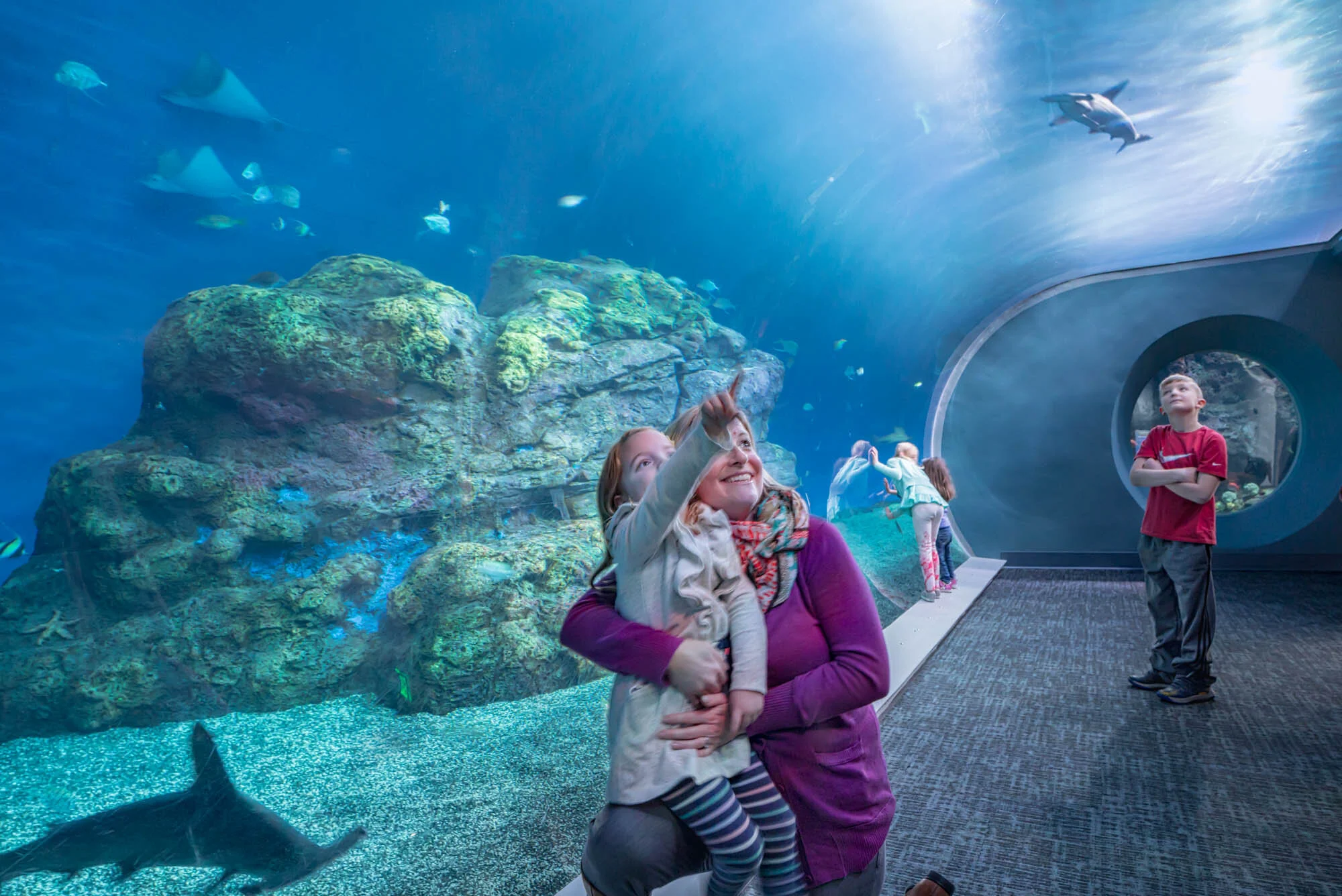 Point Defiance Zoo & Aquarium — Roto / Lyons Zaremba