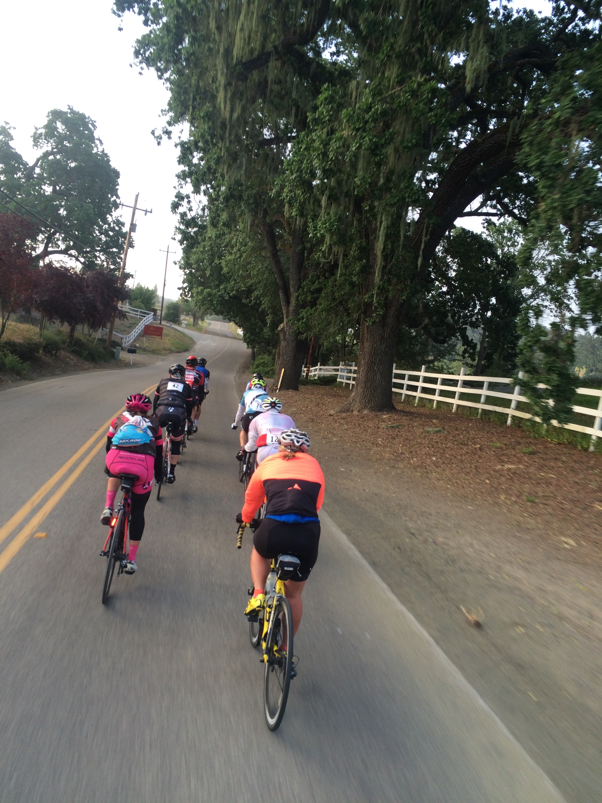 Despite a wrong turn, I'm riding with the lead group, and it's fun! :-)