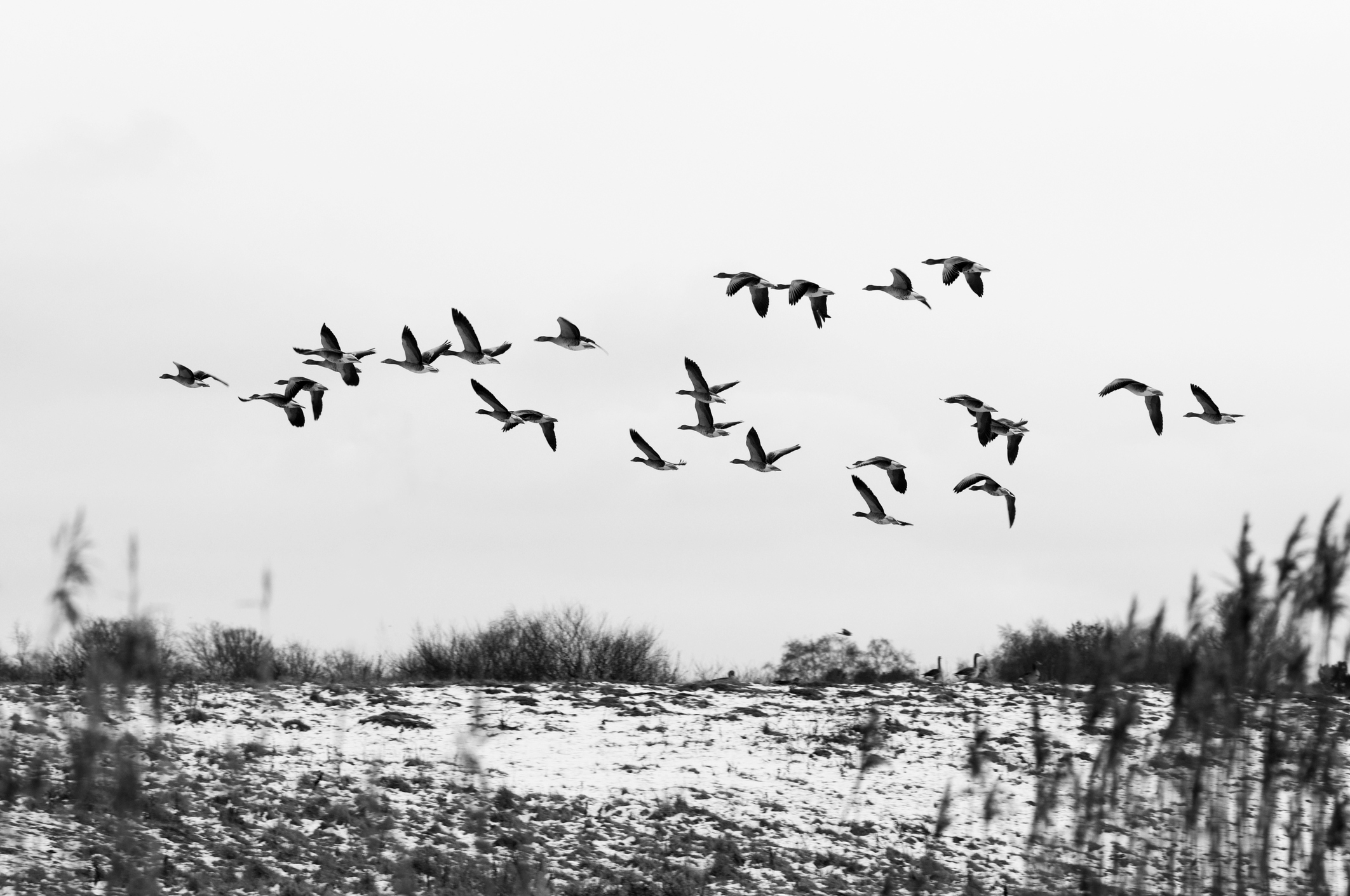 Photo by Melbye/iStock / Getty Images