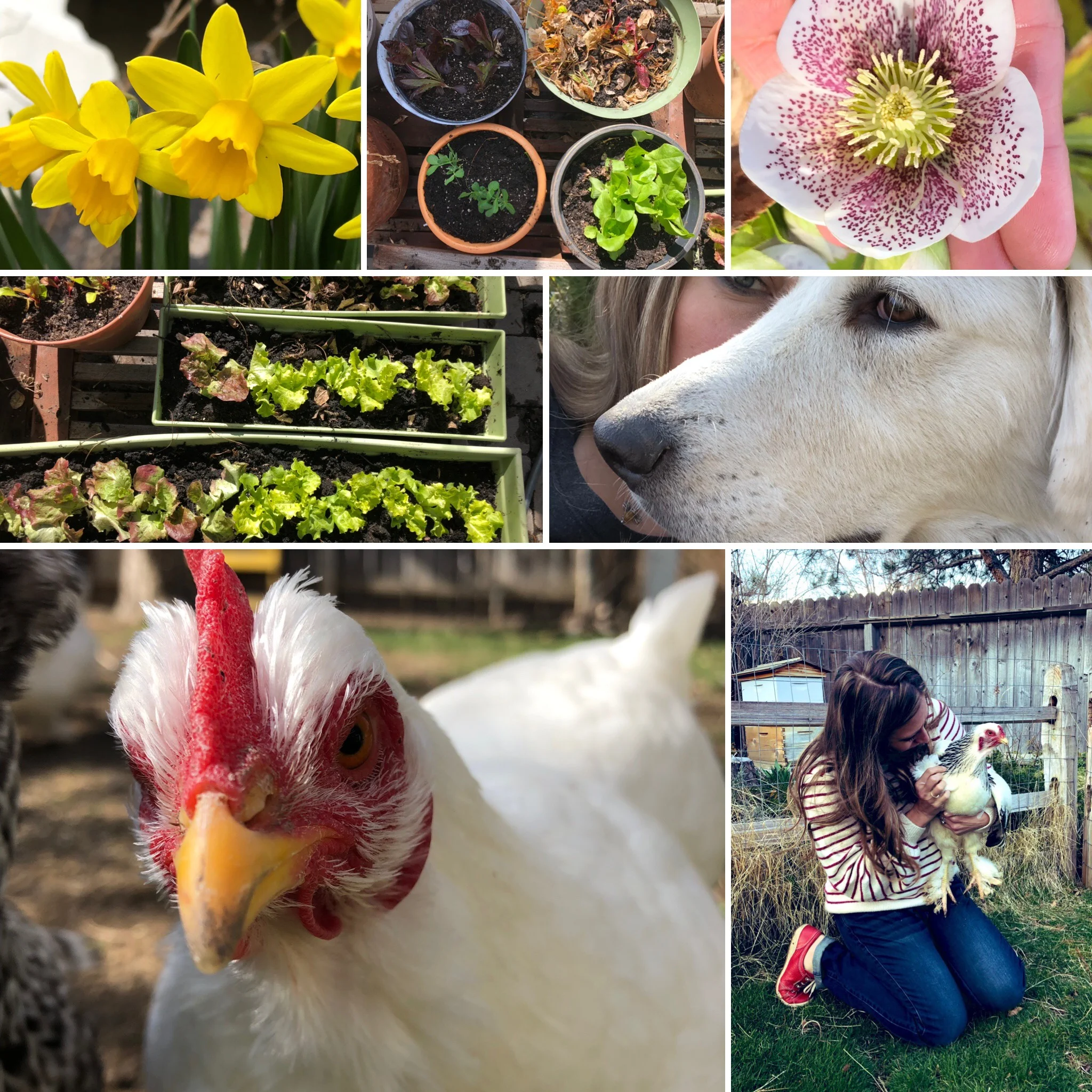 Let me introduce myself...without the mask