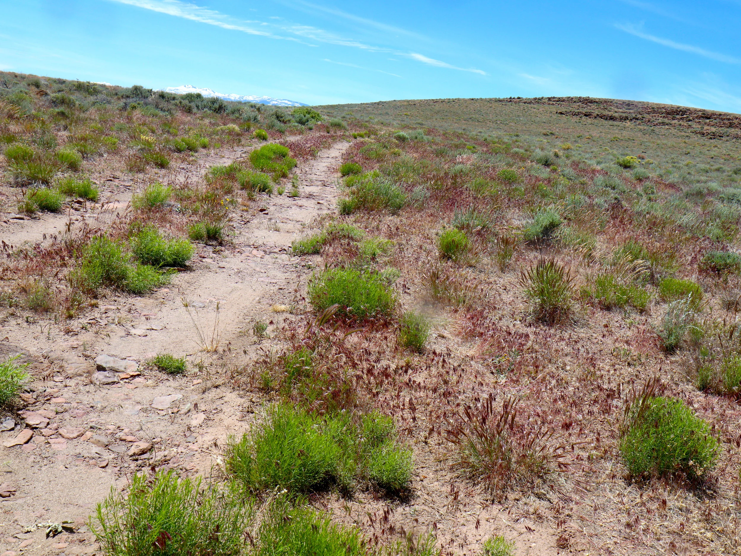 Gifford-canyon1.jpg