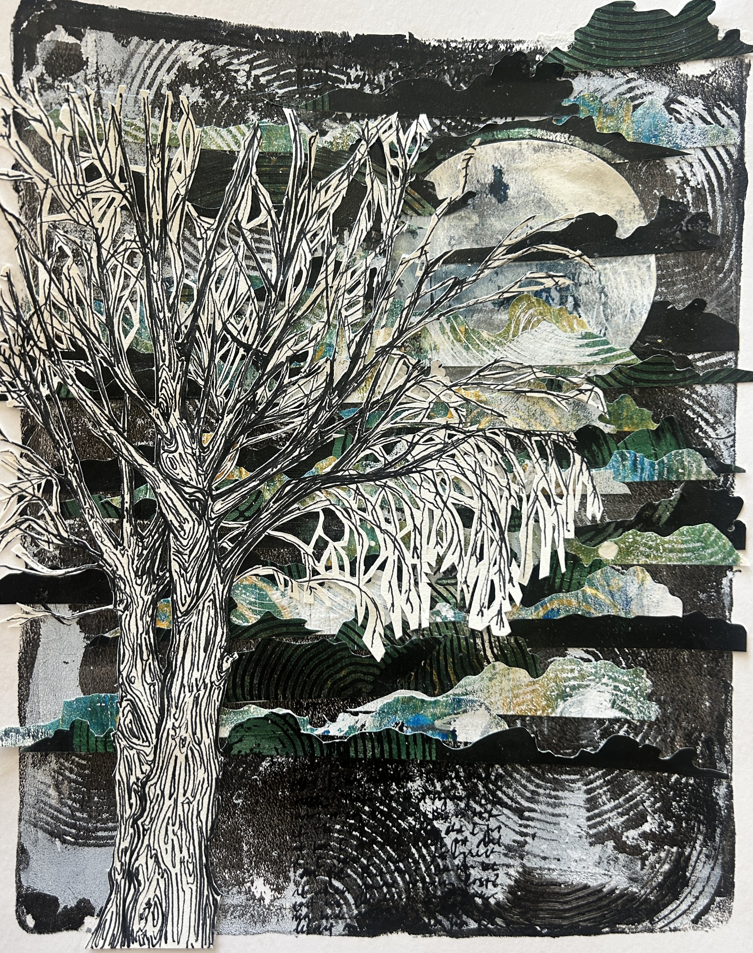 Desert Tree: Cotttonwood