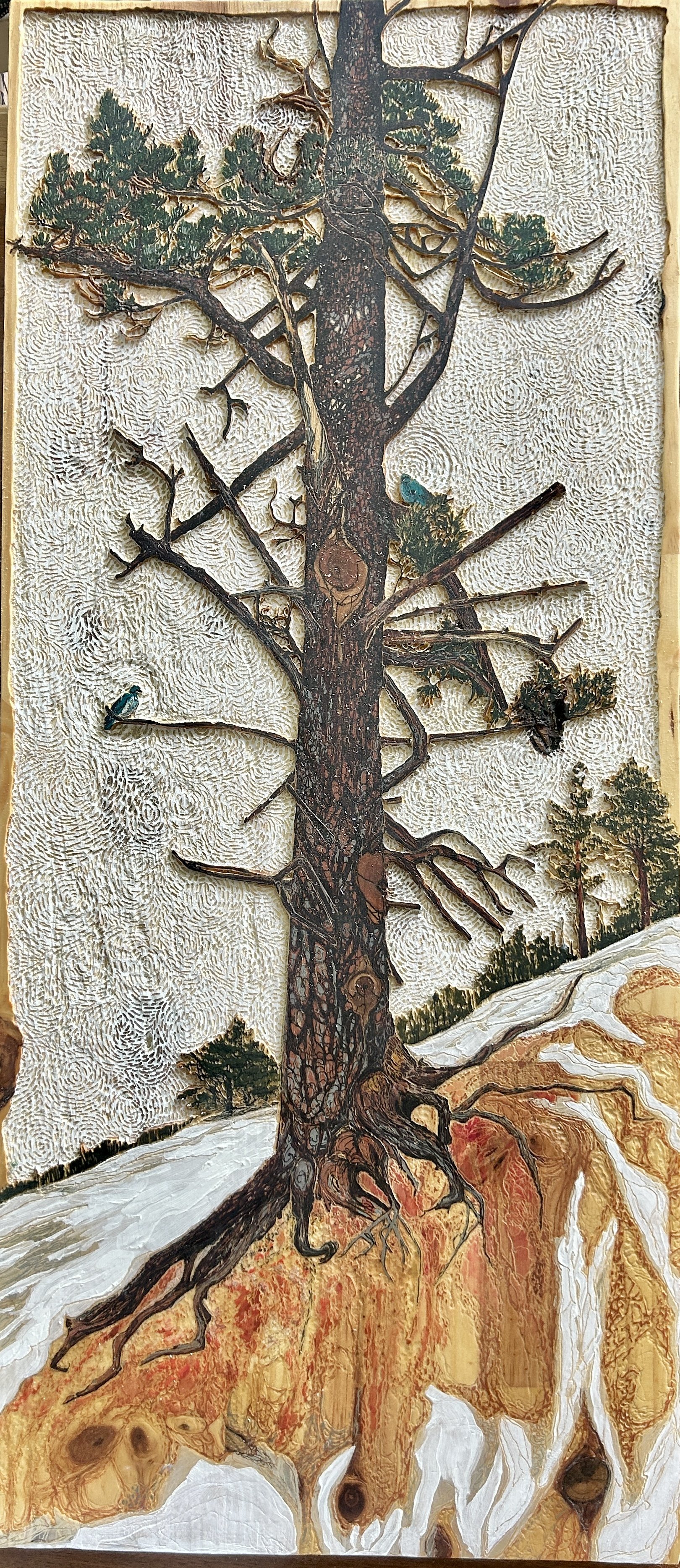 Toll Road Pine