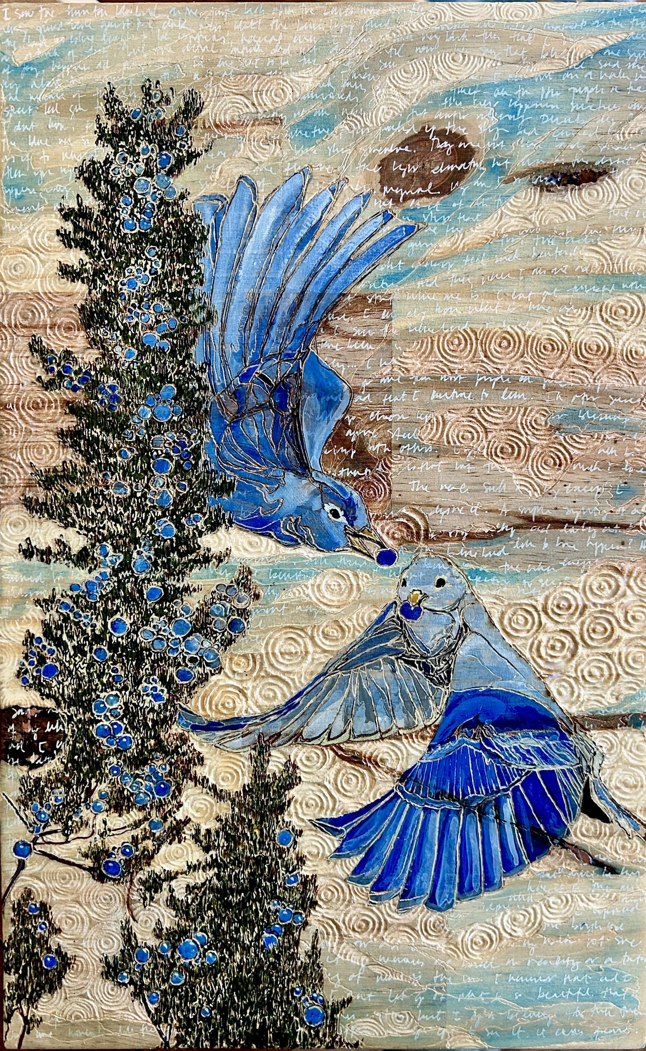 Mountain Bluebirds