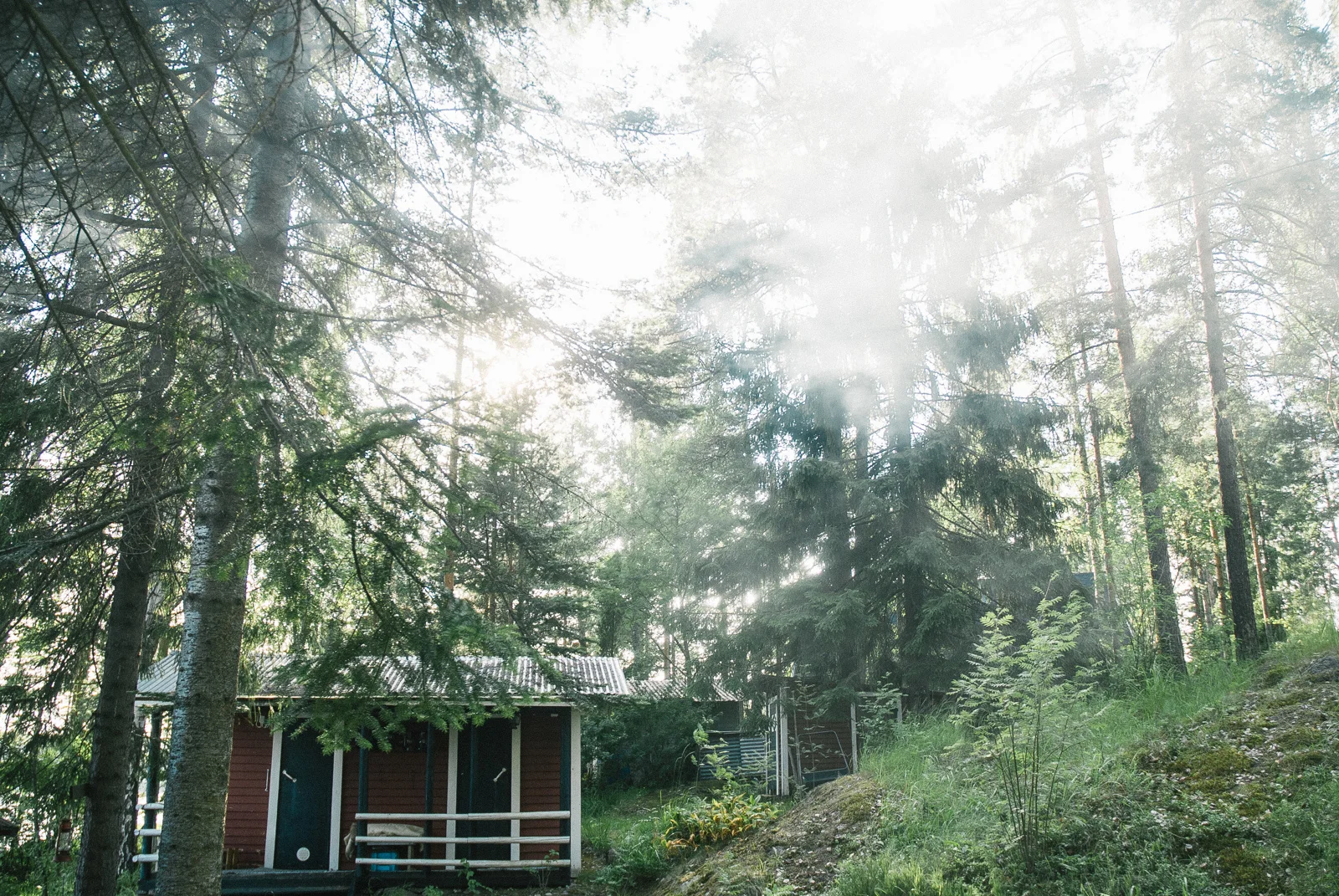 Forest Light - Lappeenranta