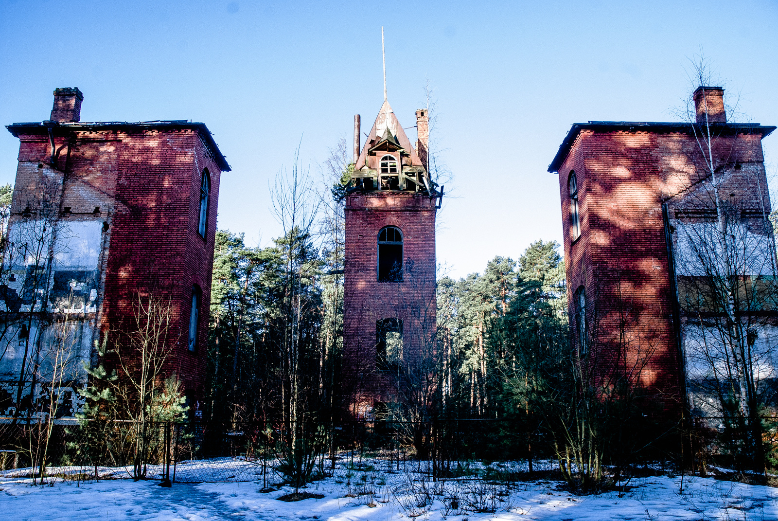 Rapunzel Forgotten
