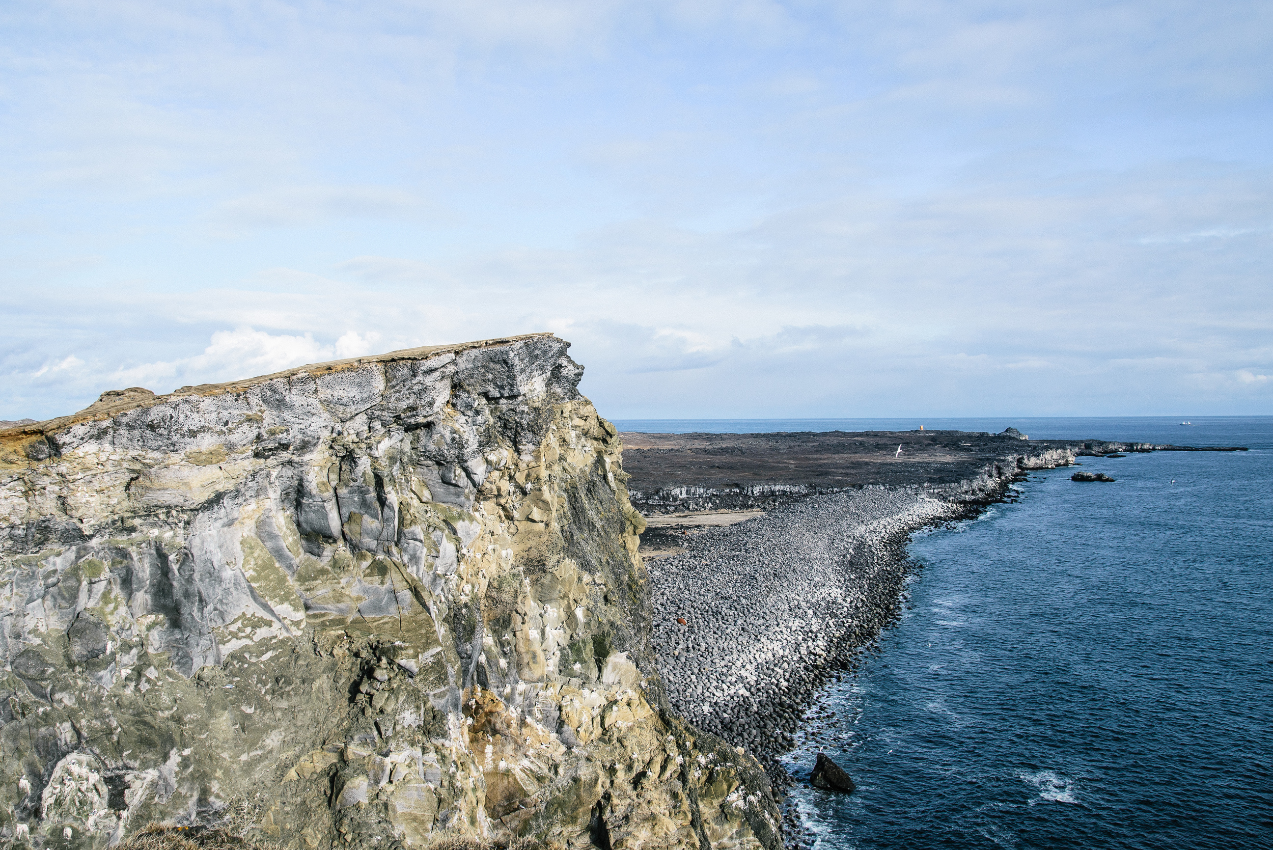 Reykjanes coast 3.jpg