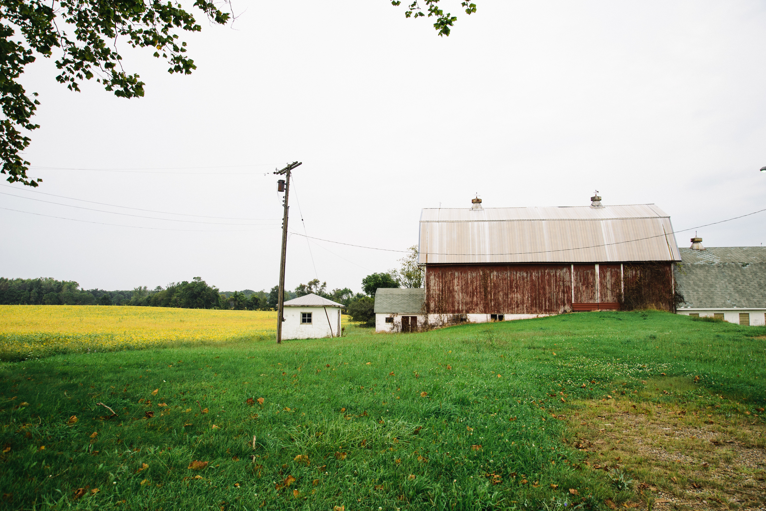 Michigan farm.jpg