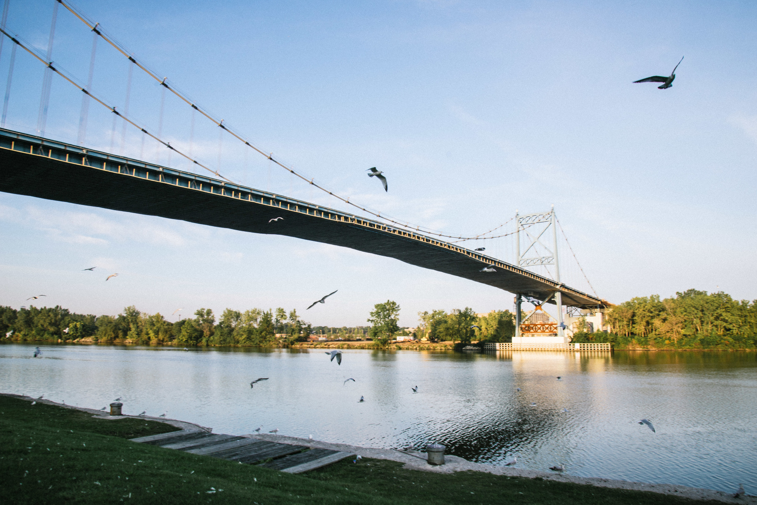 Toledo Bridge Birds.jpg