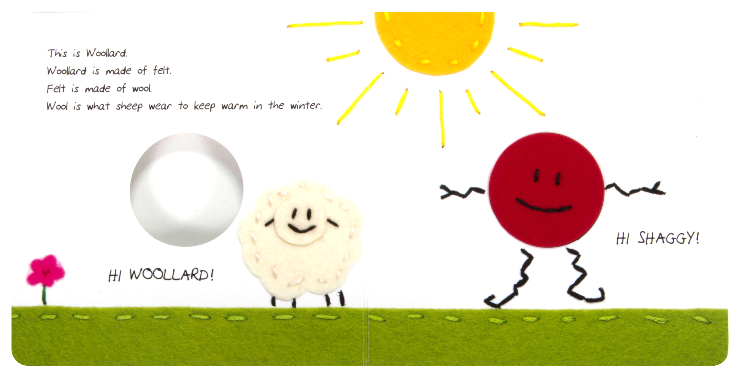 IMG_2730 (modified).png