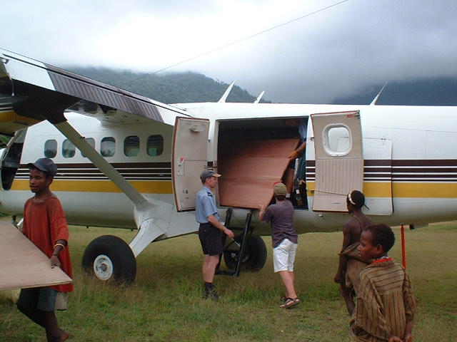 Unloading plywood for house interior.jpg