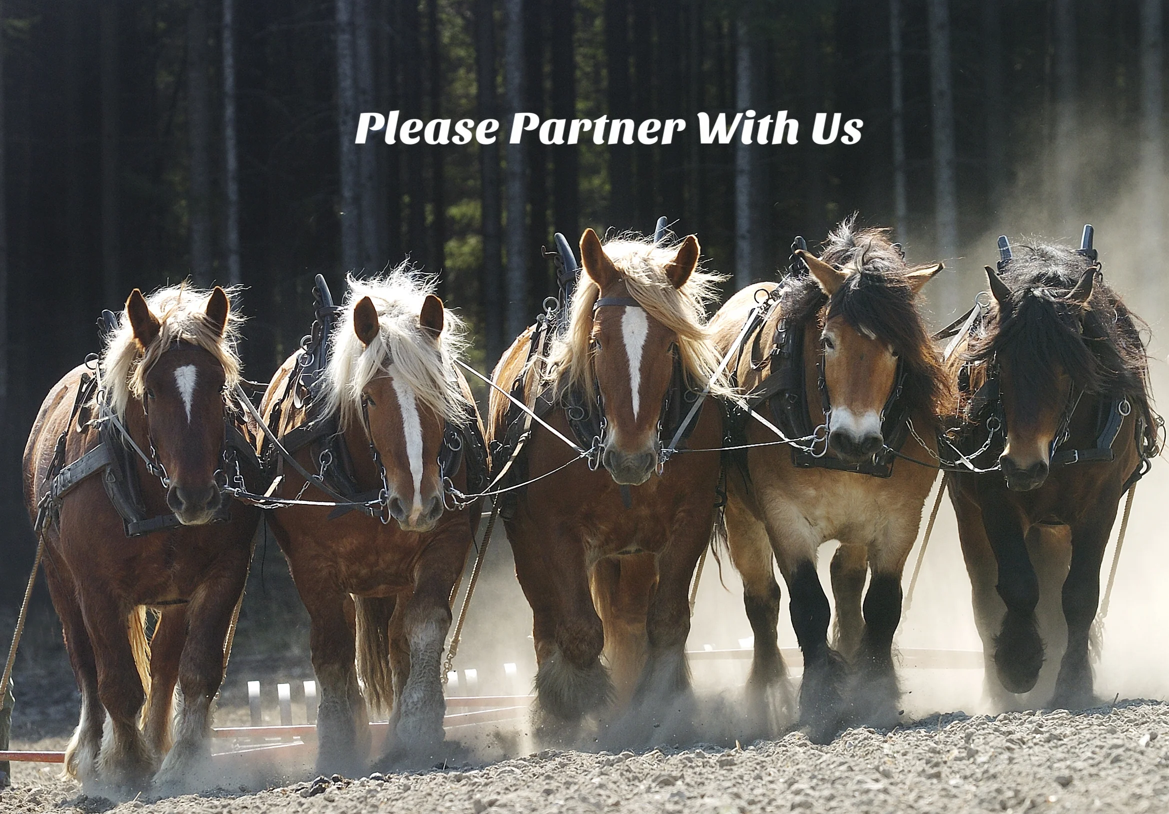 partner with us plow image.png
