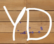 YD-logo.jpeg