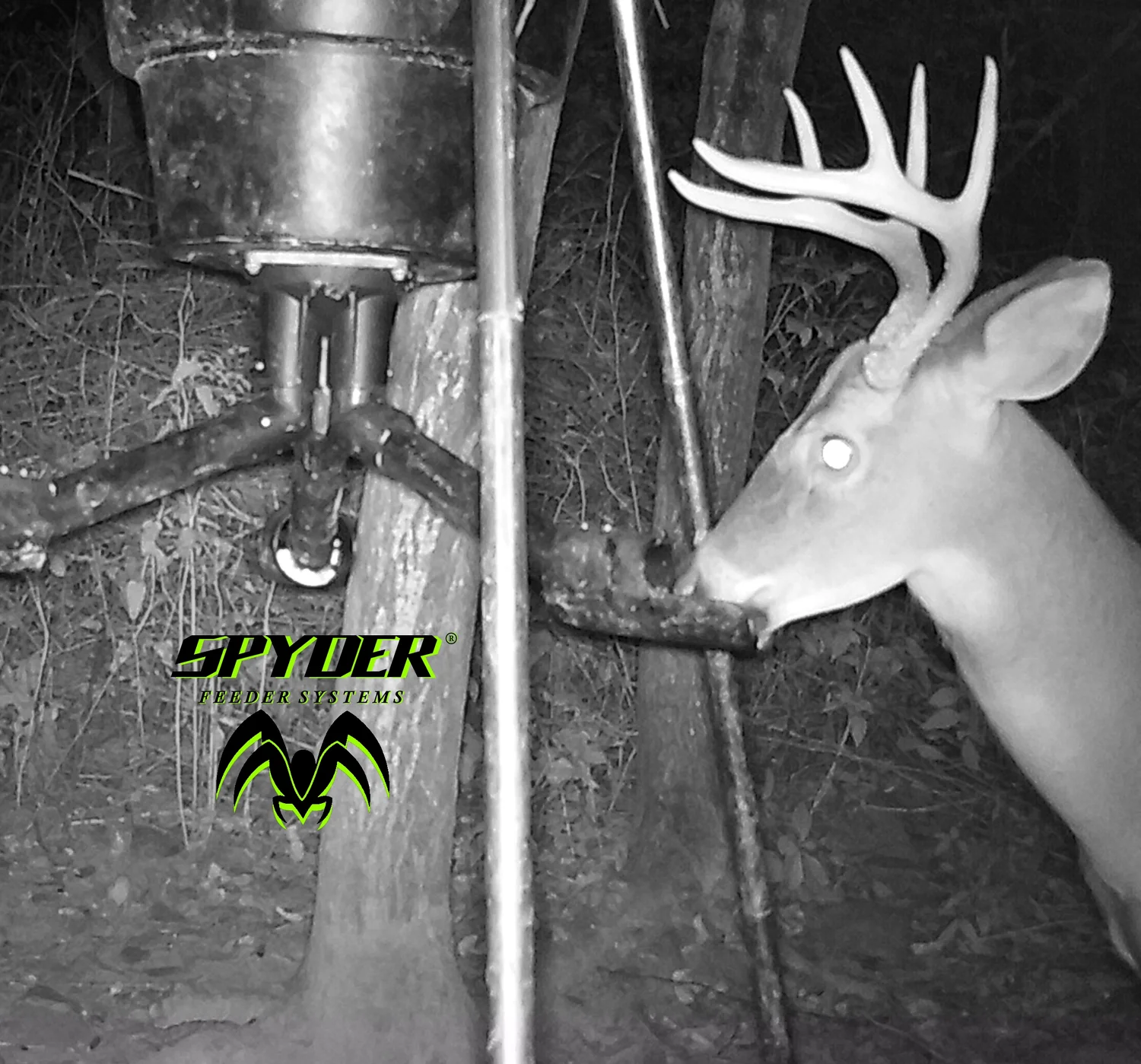 Game Feeders 100 Made in the USA Spyder Gravity Feeders