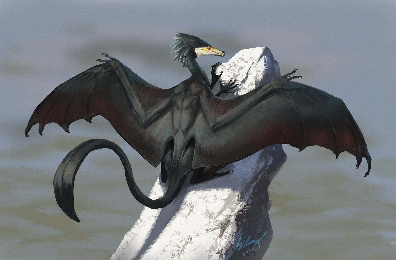 cormorantdragon.png
