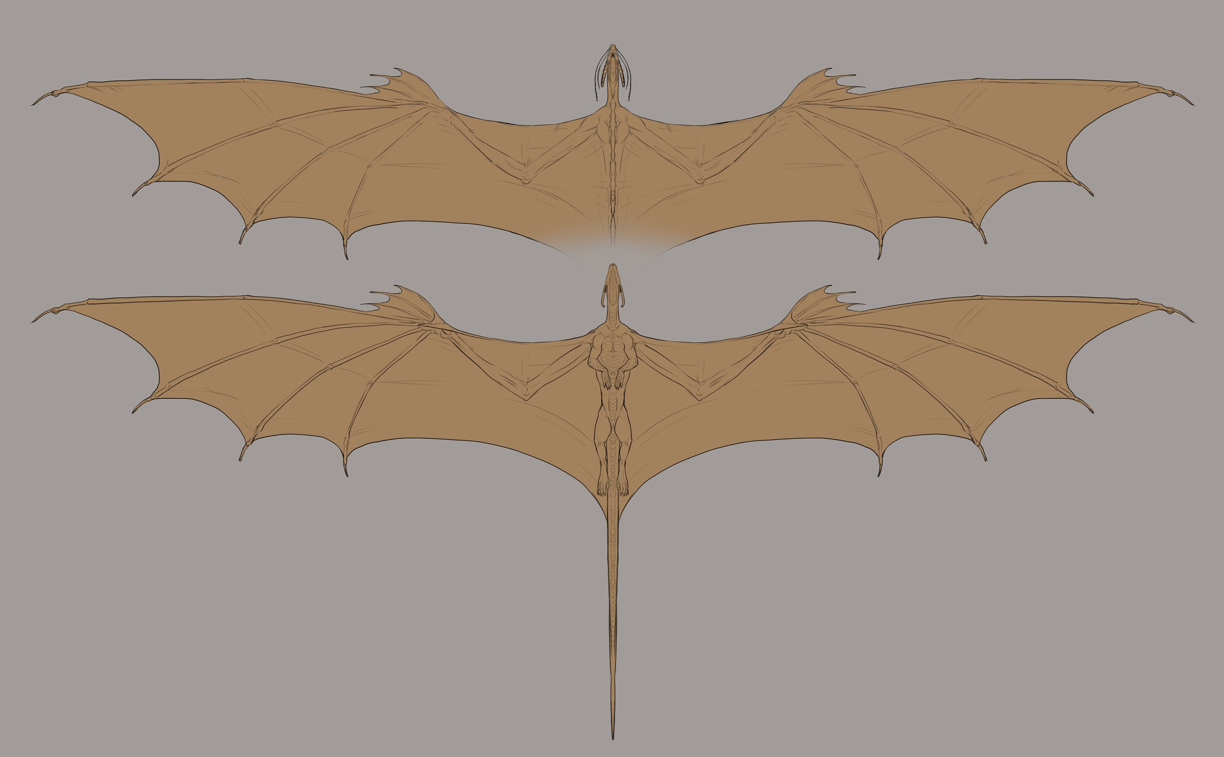 Bronze_Dragon_Homebrew_wings.jpg