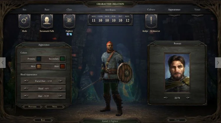 Pillars of Eternity allows a lot of modification to your character model, but then you get one of 74 choices for yer head.