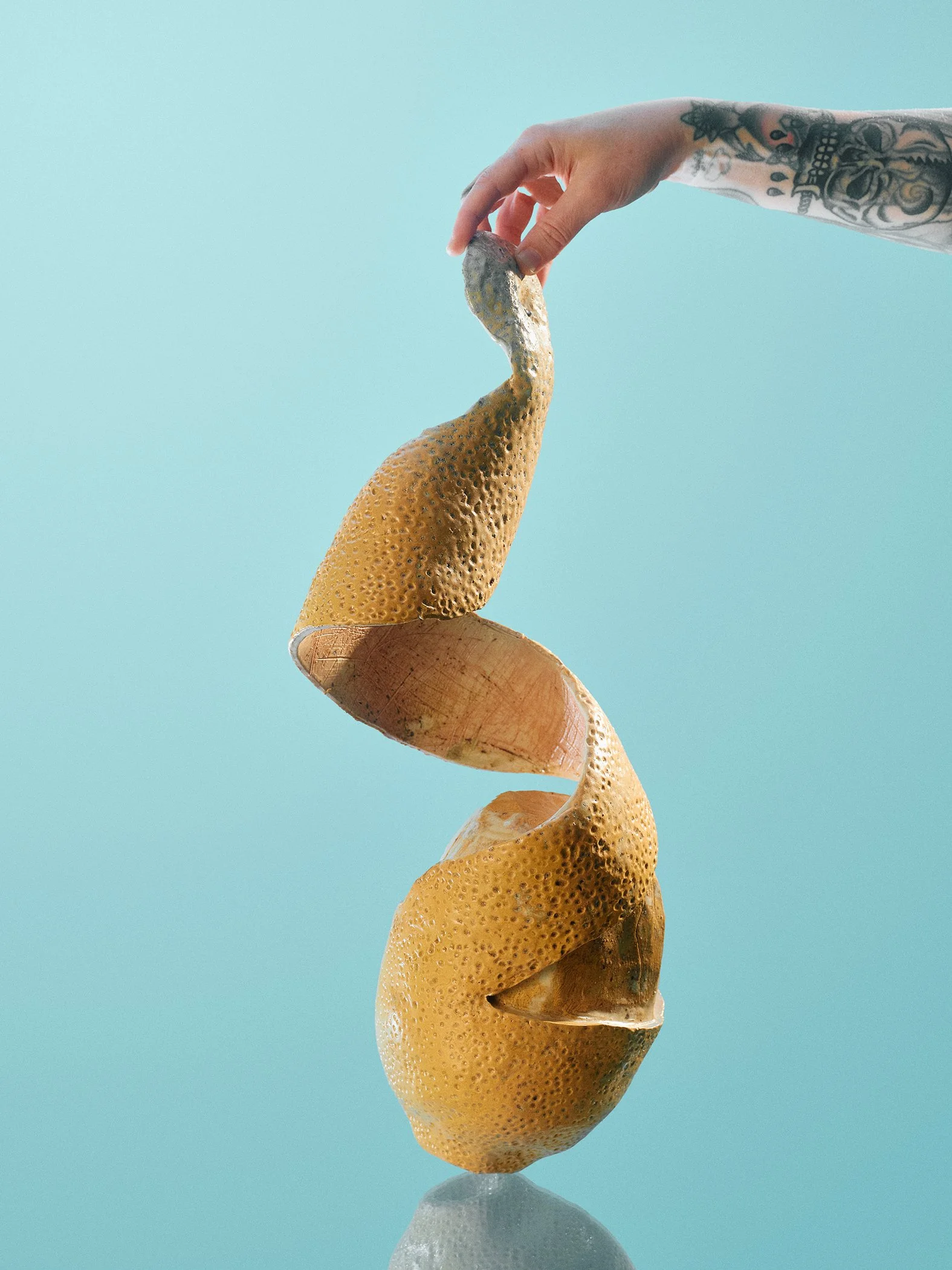 xl-lemon-2-web.jpg