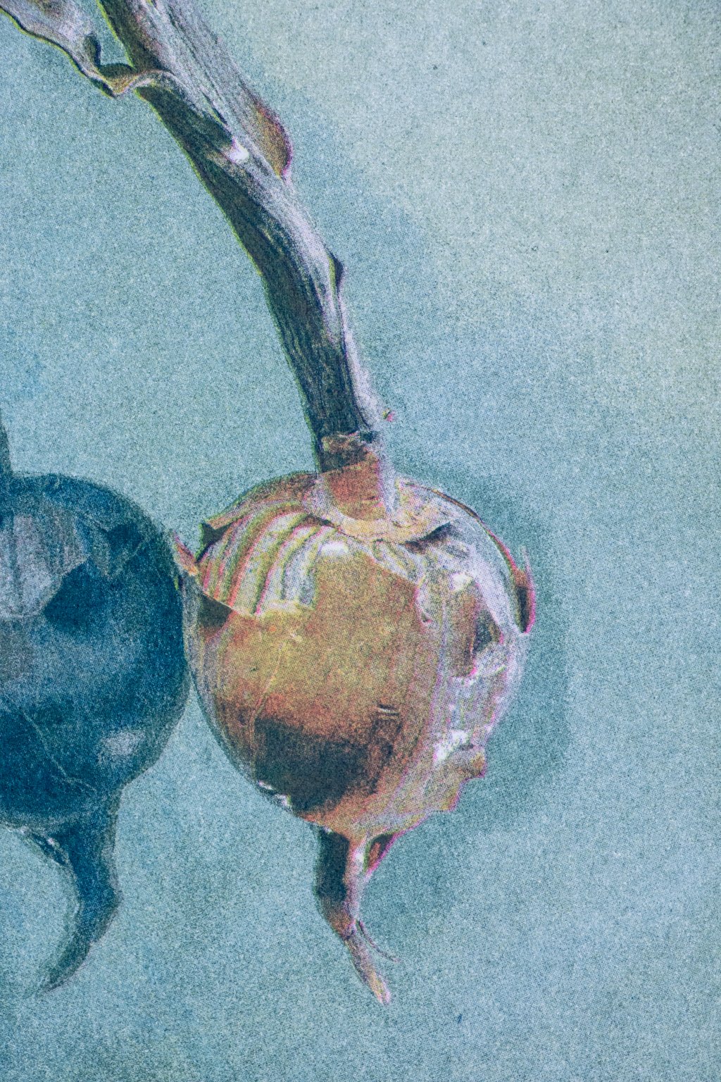 print-7.jpg
