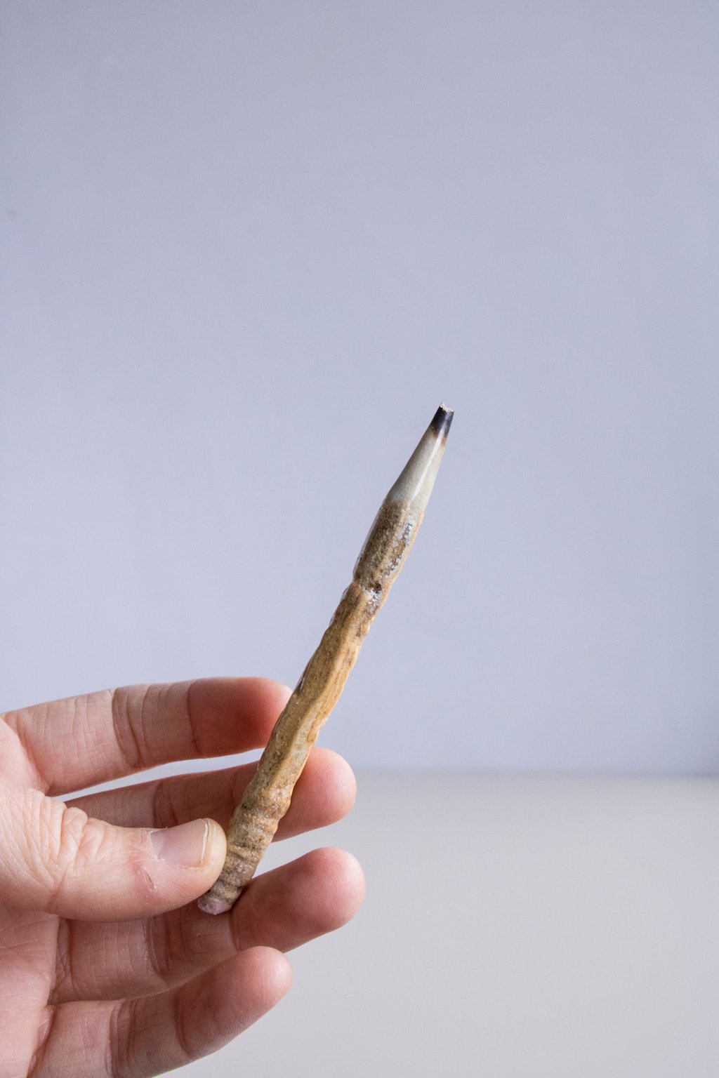 pencil-3.jpg