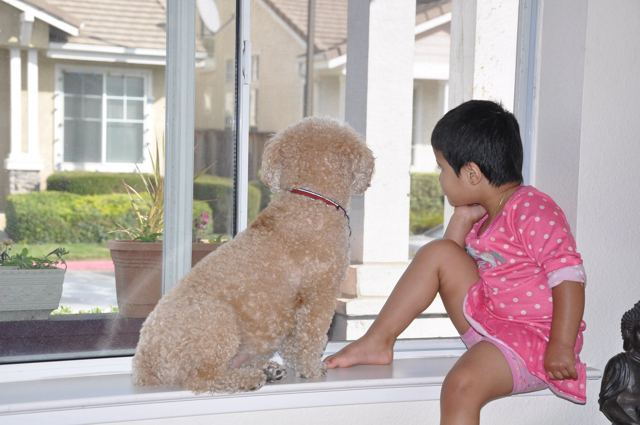 45.Teddy and Eesha - BFF.JPG