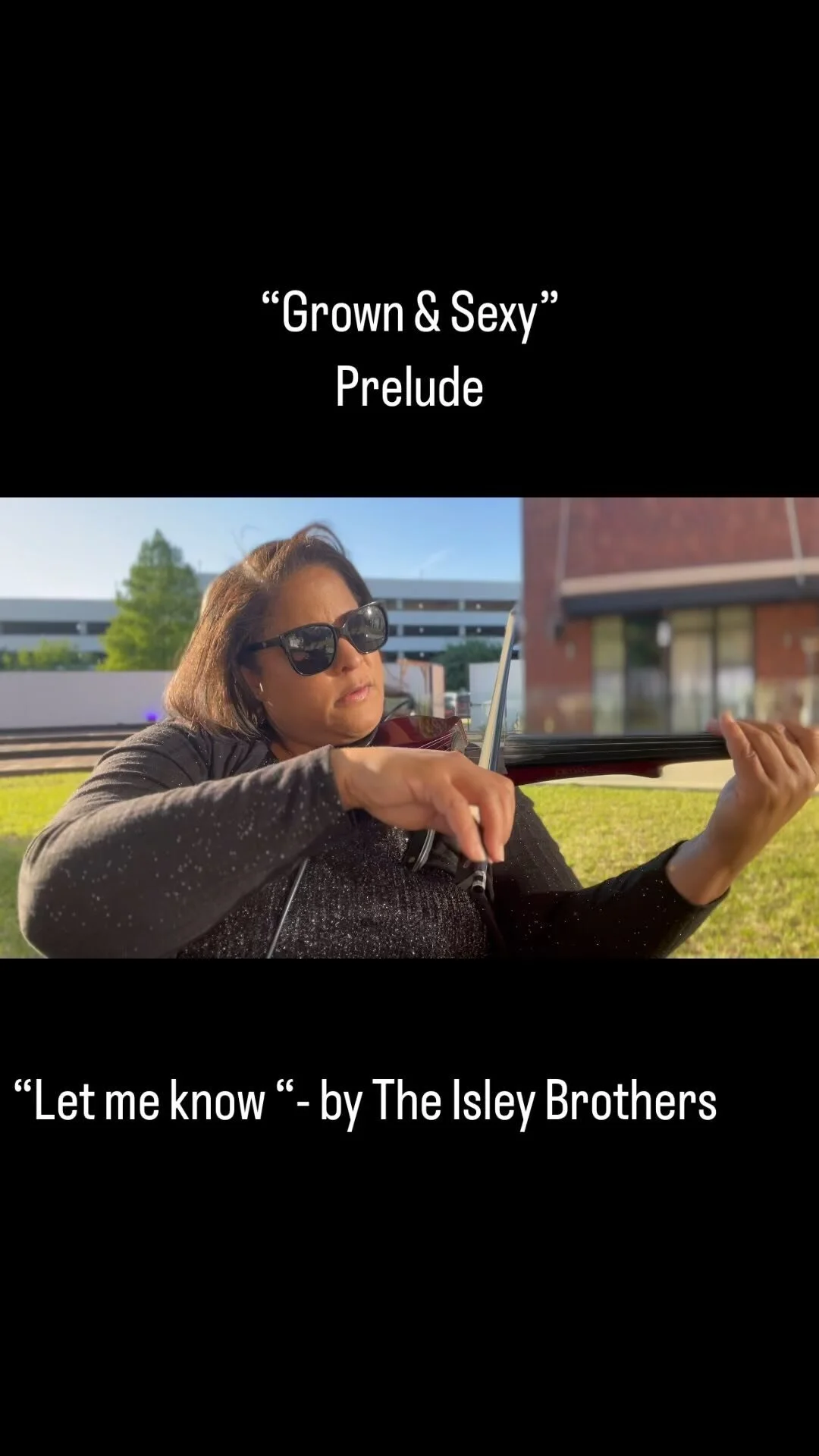 Music playlist — THE ELECTRIC VIOLIN LADY
