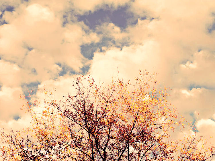 Manassas, Virginia | © Christy Hydeck 