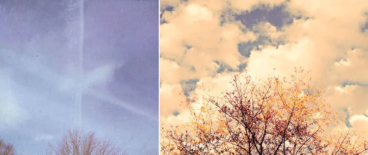 Photo Credits: © Susan Tuttle (left) © Christy Hydeck (right)