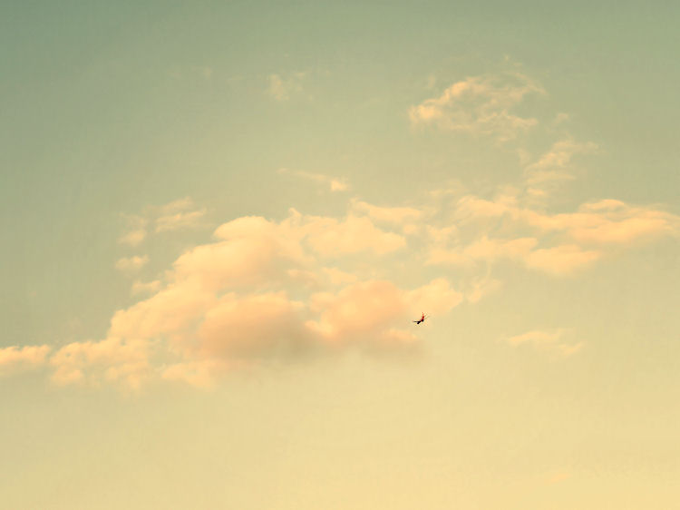 Manassas, Virginia | © Christy Hydeck 