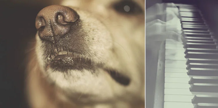 Photo Credits: © Christy Hydeck (left) © Susan Tuttle (right)