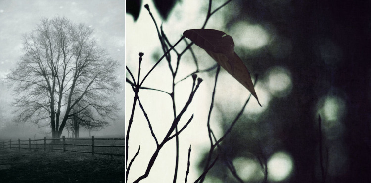 Photo Credits: © Susan Tuttle (left), © Christy Hydeck (right)