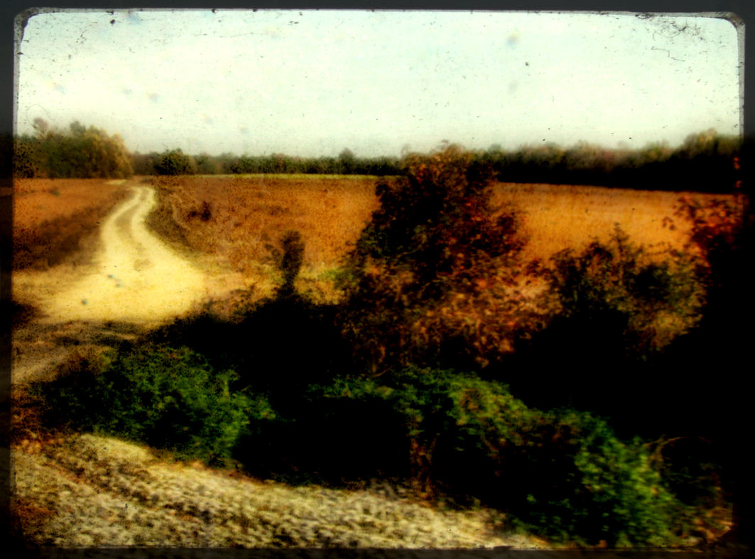 Surreal photograph taken through an amtrak train window, somewhere in North Carolina. | © Christy Hydeck