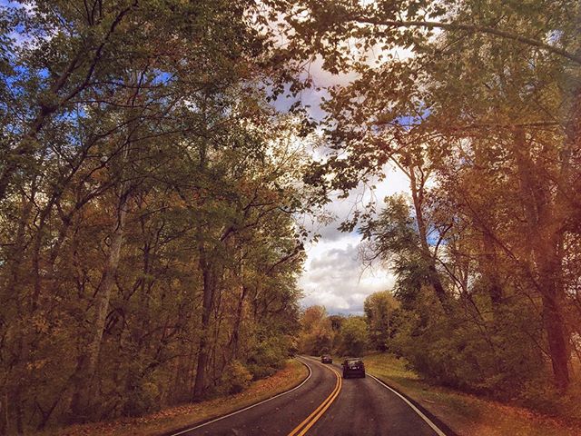 Beautiful day for a drive. Perfect weekend to teach at The Red Thread retreat! #mixedmedia #maryland #visitmd #chasingautumn #roadtrip