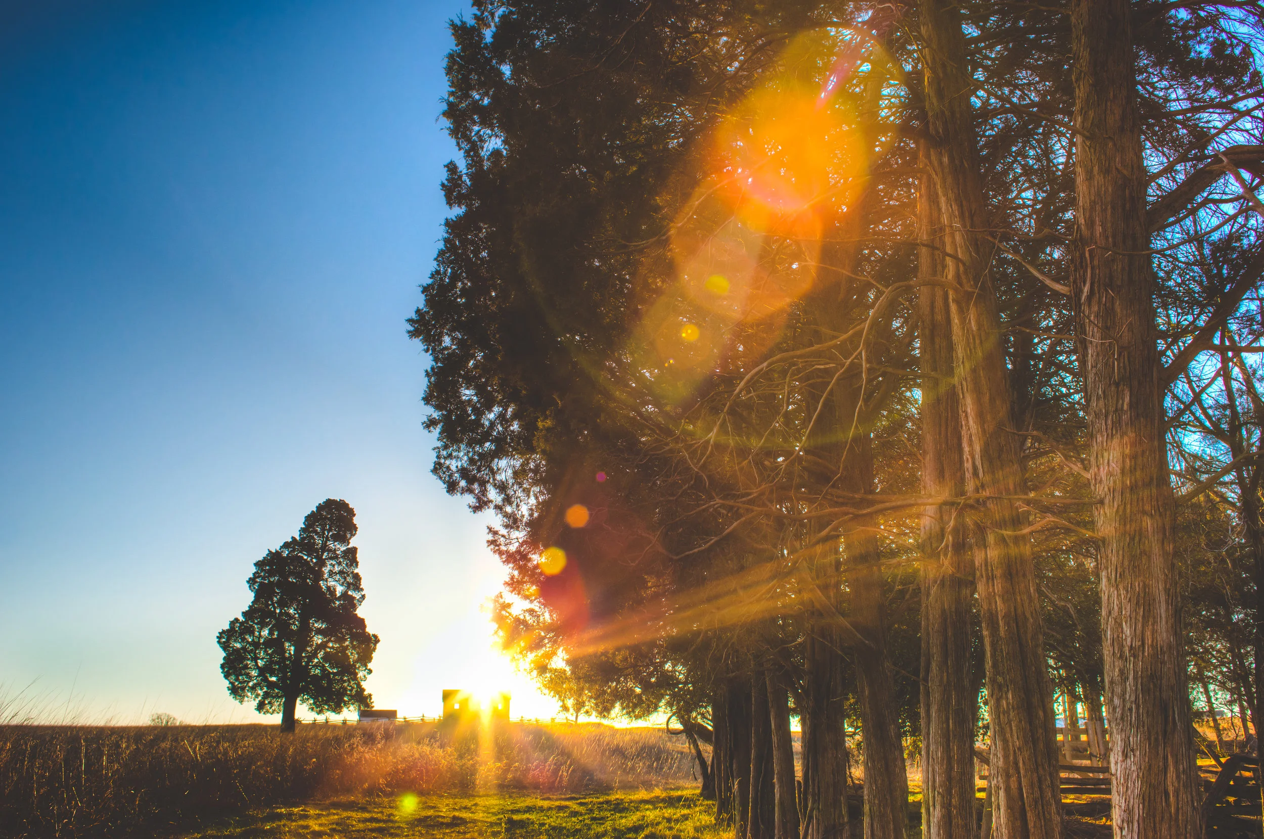 Sunrise at Manassas Battlefield Park | Manassas, Virginia | 2015 | Client: Flonase | © Christy Hydeck