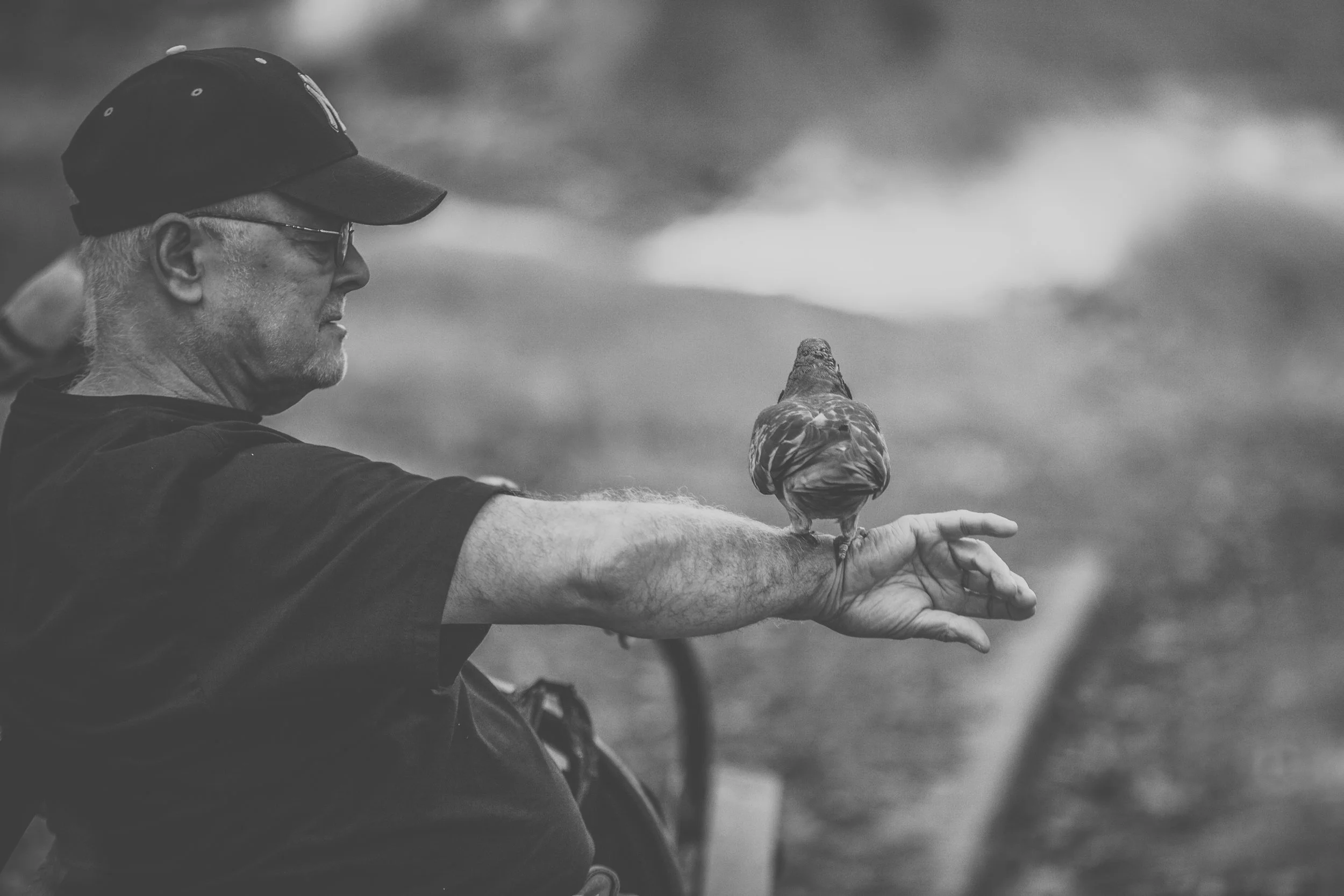 Feed The Birds | Central Park, New York City, New York | 2012 | © Christy 'Chrysti' Hydeck