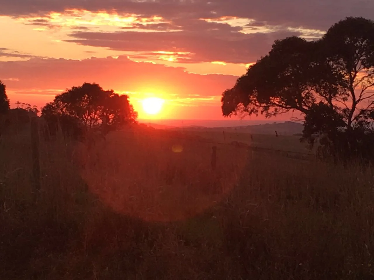 every morning sunrise is different, and a joy to watch