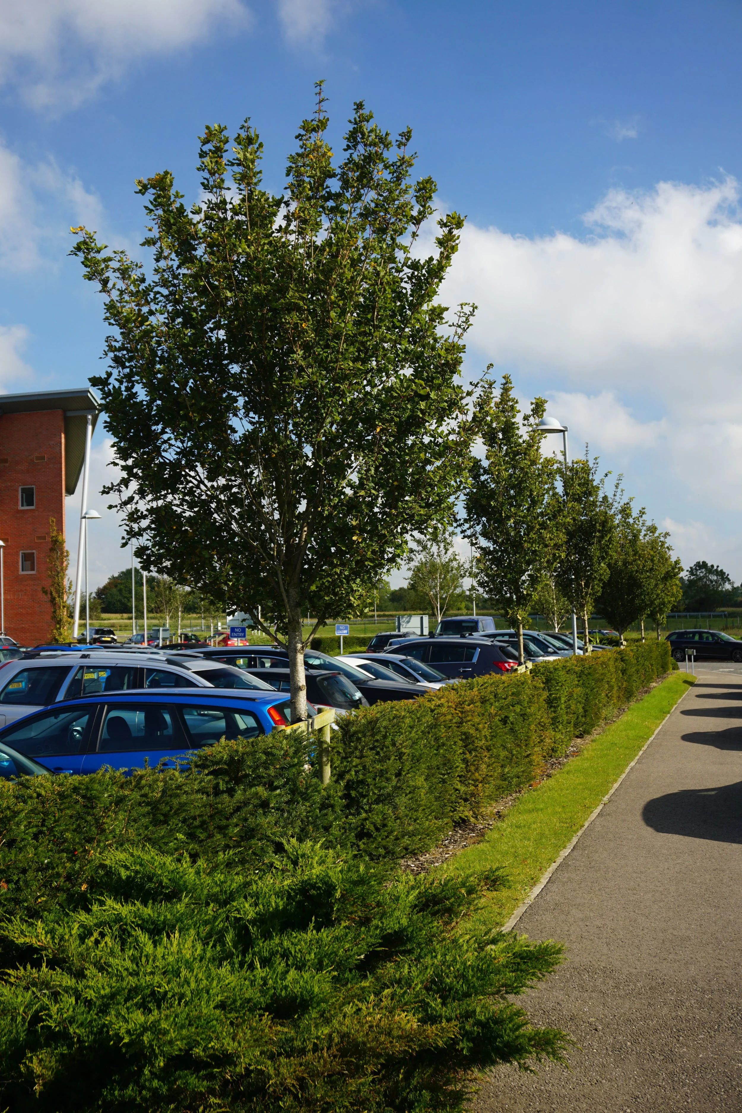 MH Innovation Centre 2.jpg