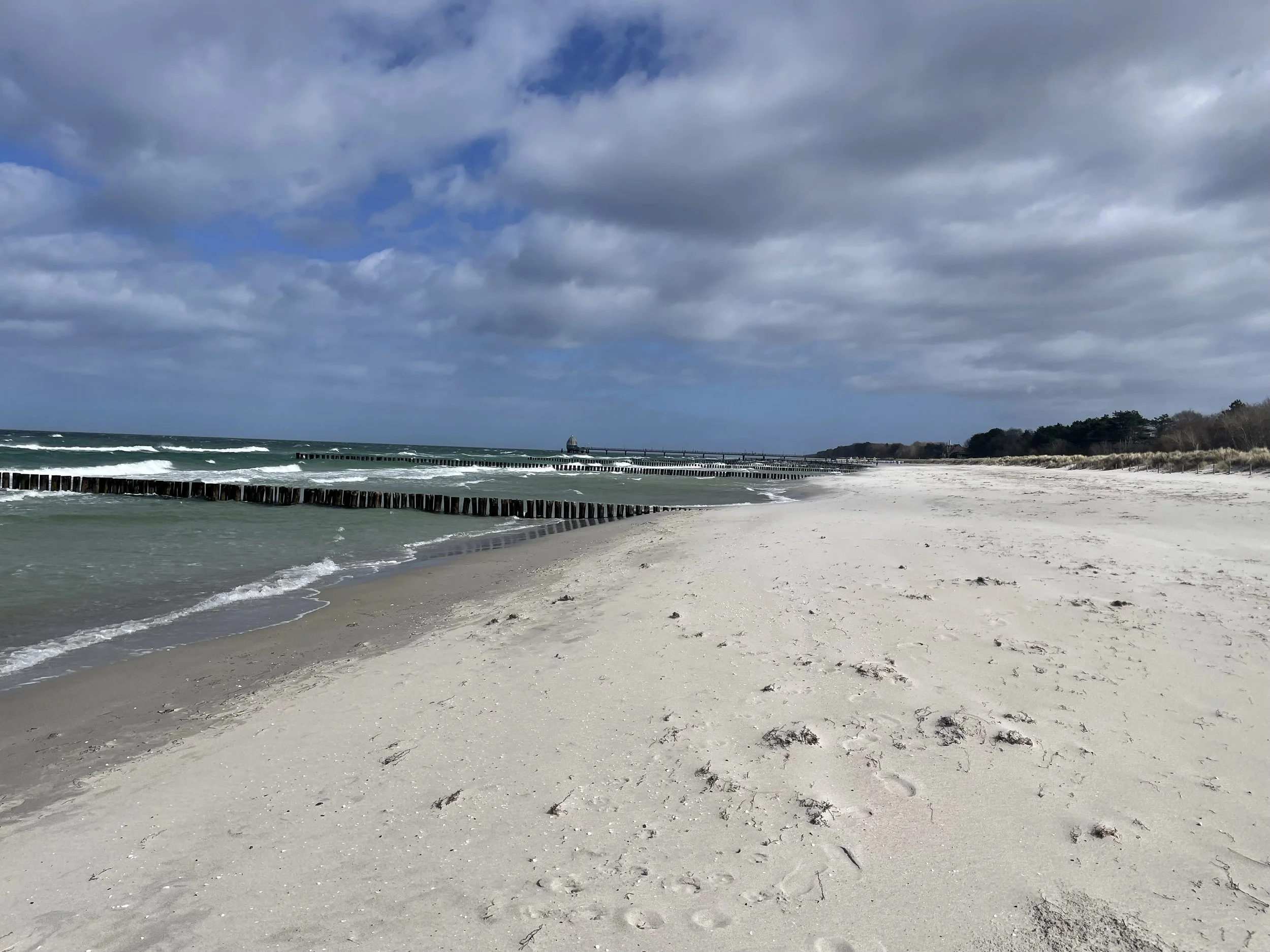 IMG_6374.jpeg