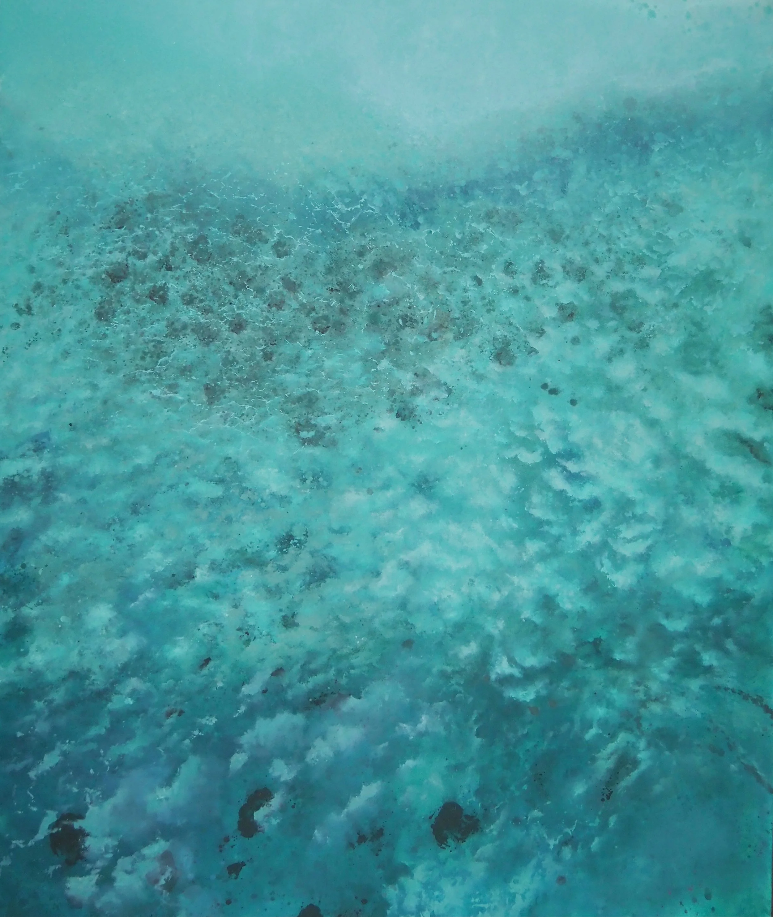 surface - amanda szopinsk - artist - todos santos - bcs mx - gallery