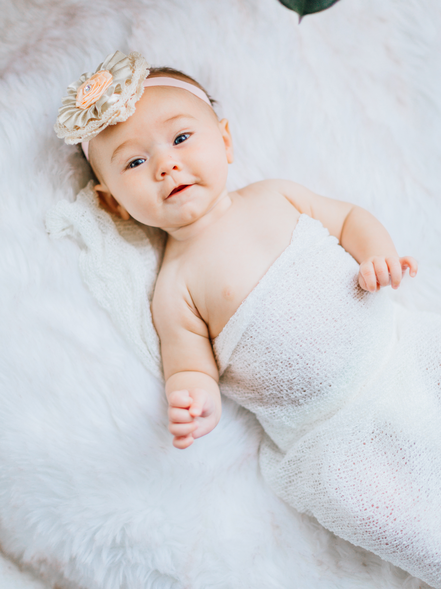 Baby Holland | Newborn Session