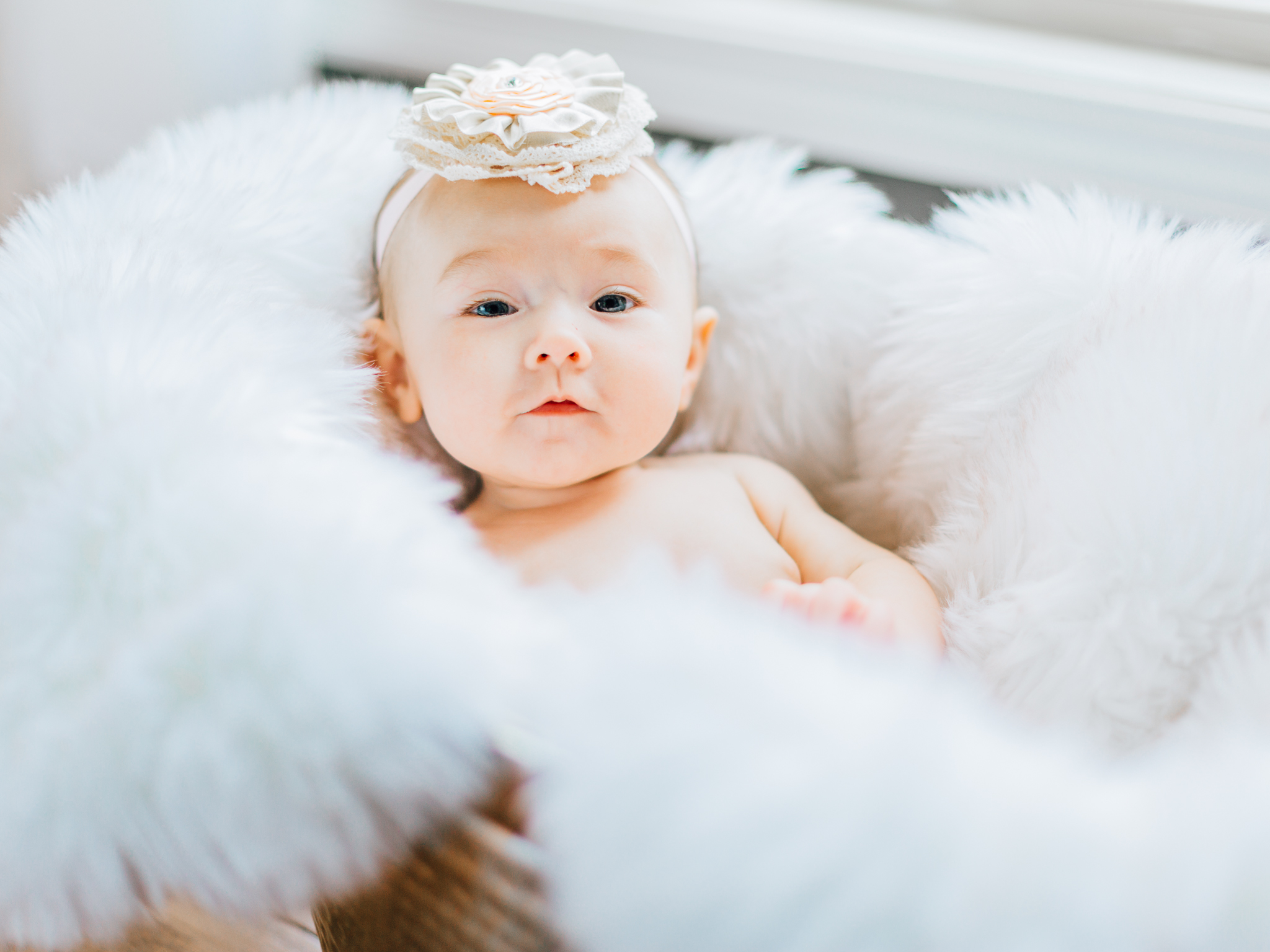 Baby Holland | Newborn Session