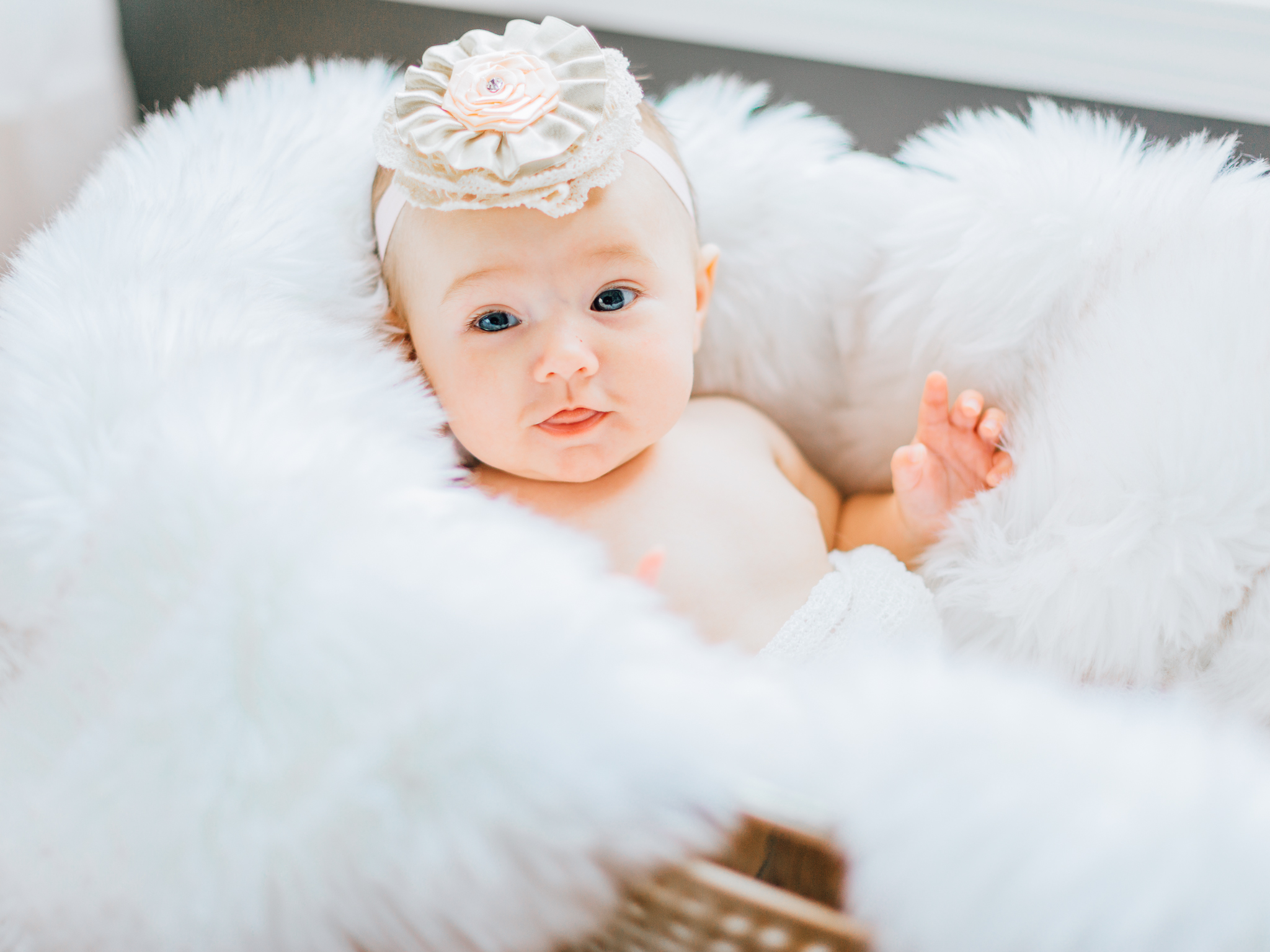 Baby Holland | Newborn Session