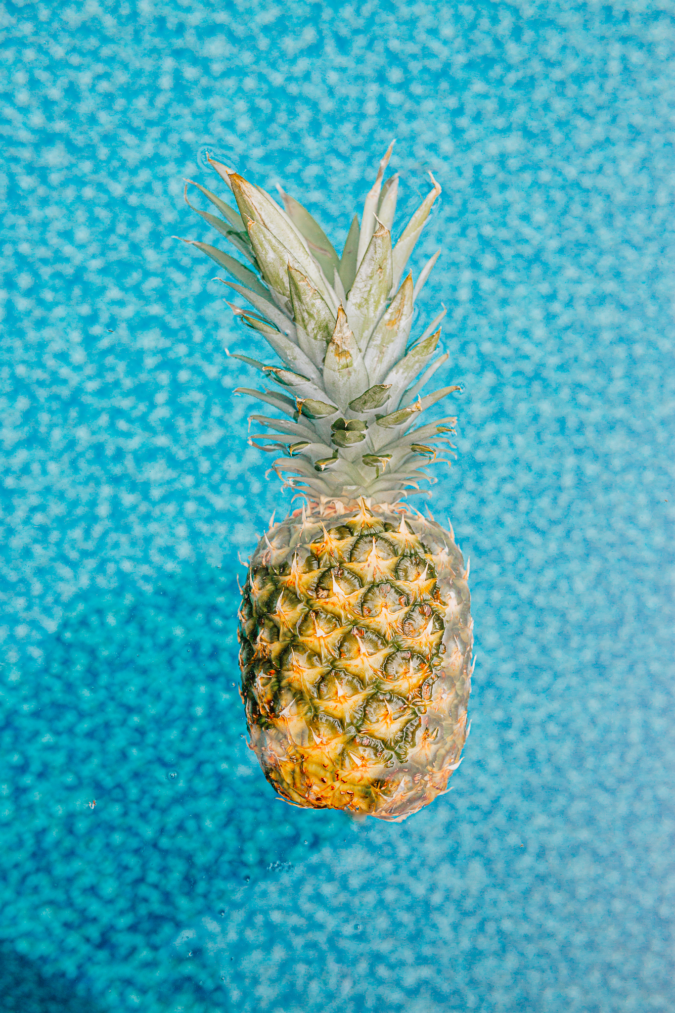 Pineapple | Travel | Jonesboro Arkansas Photographer | Kaylan Crenshaw Photography