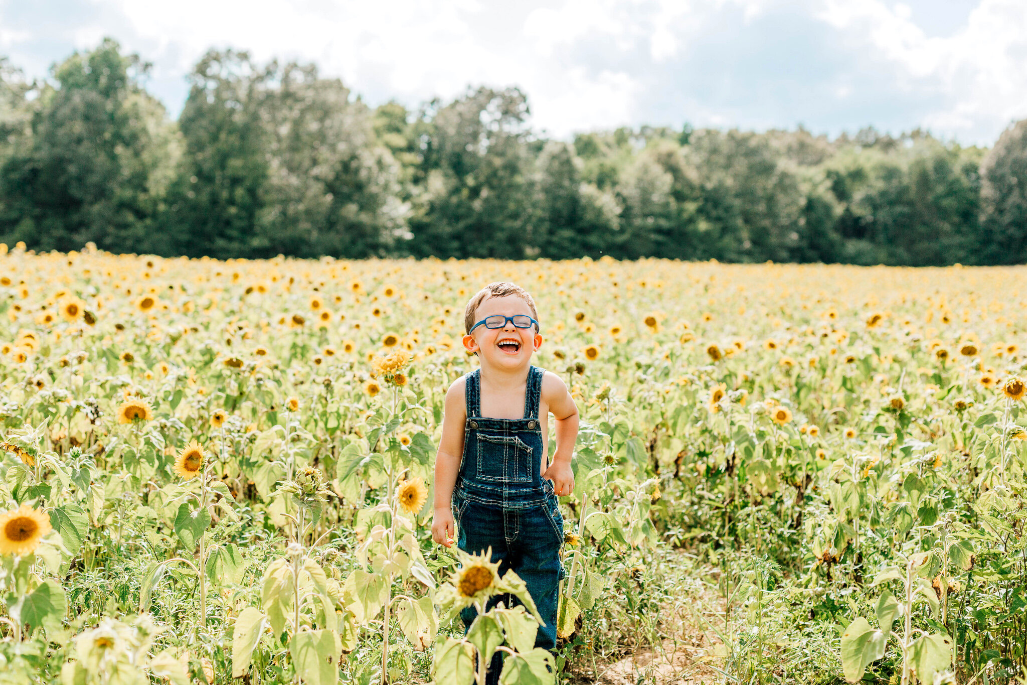 Sunflower Family Session | Cord, Arkansas | As The Crow Flies Photographer