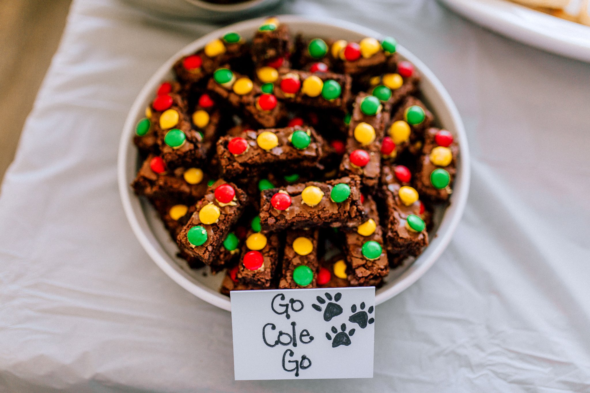 Go Dog Go Birthday Party | 2nd Birthday | Jonesboro, Arkansas Photographer