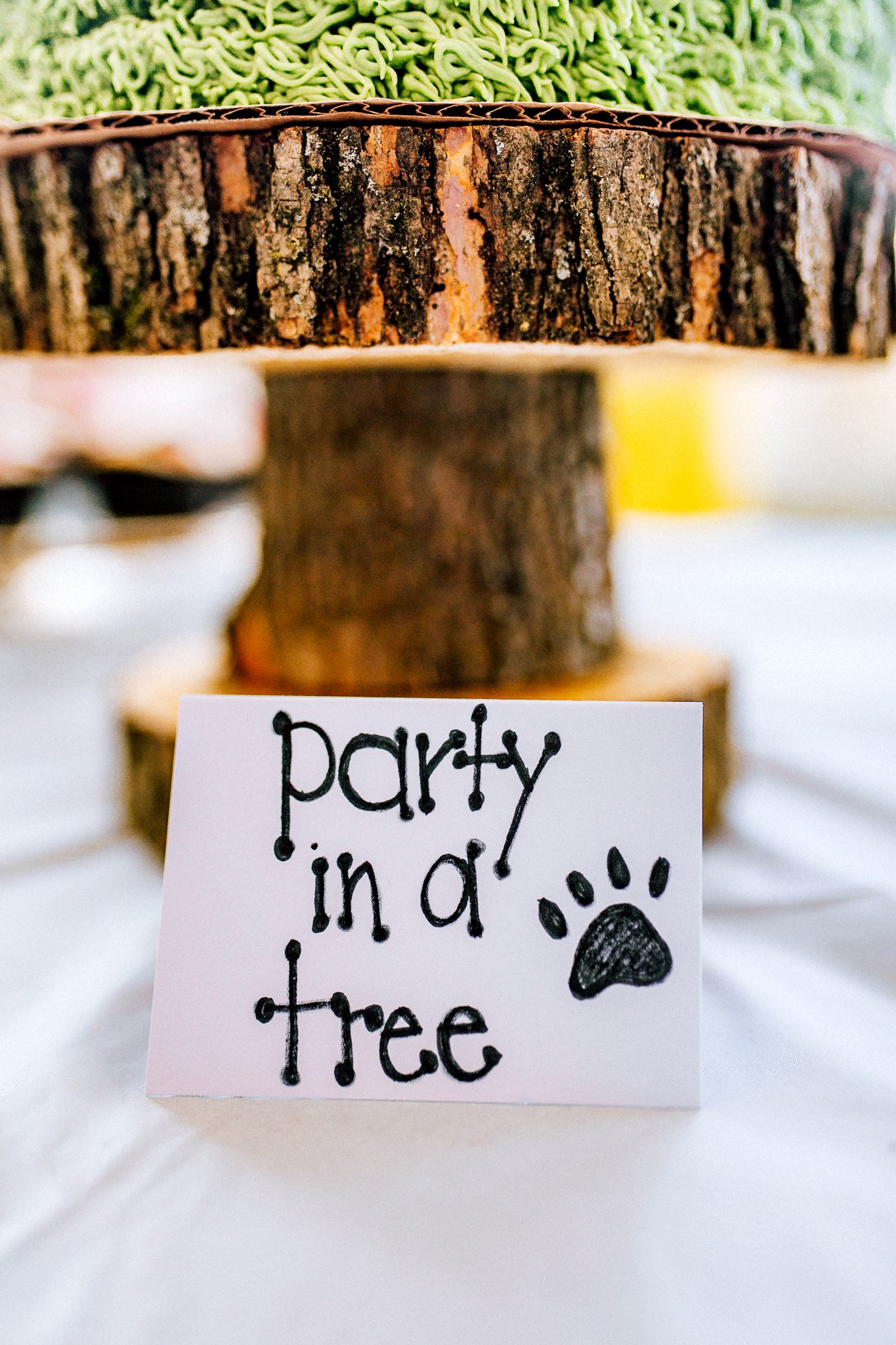 Go Dog Go Birthday Party | 2nd Birthday | Jonesboro, Arkansas Photographer