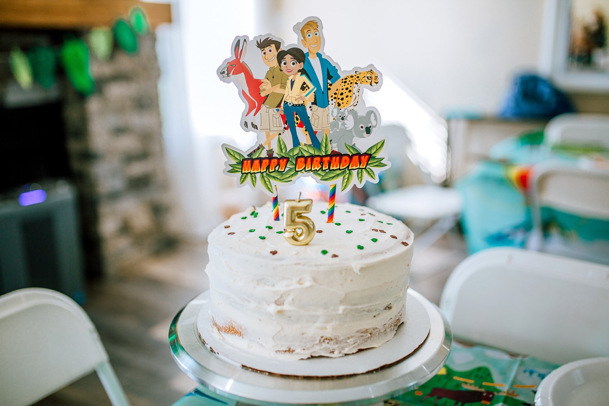The Parker Project: Wild Kratts Birthday Party at Nickel City San Diego